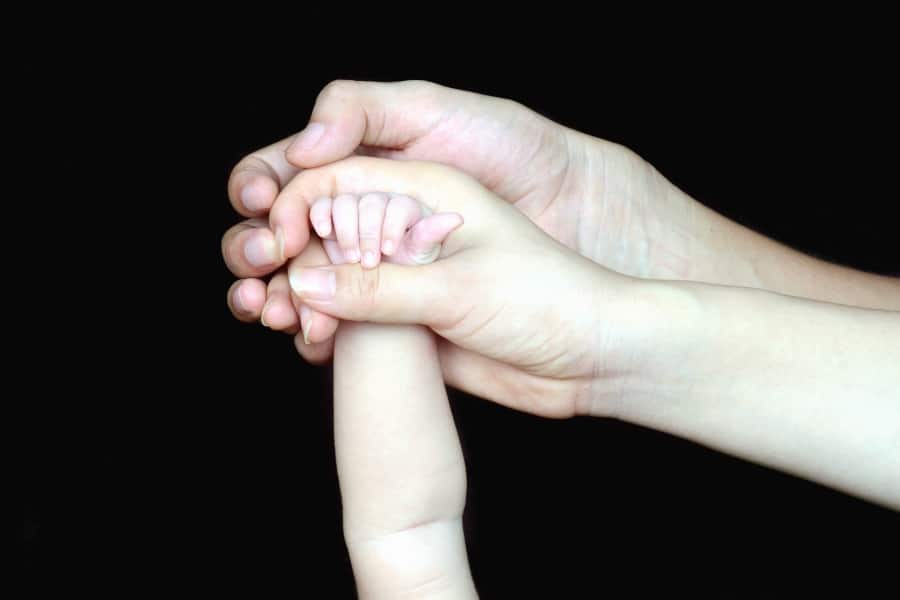 The Surrogacy Process