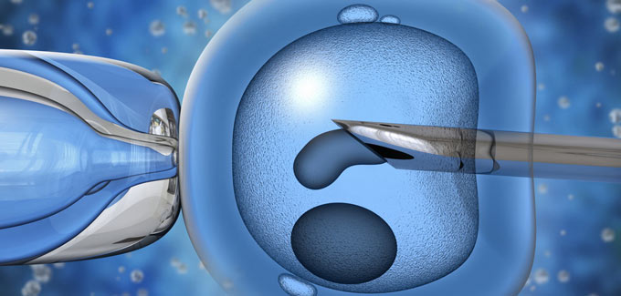 Finding An Egg Donor Abroad Means Doing Research